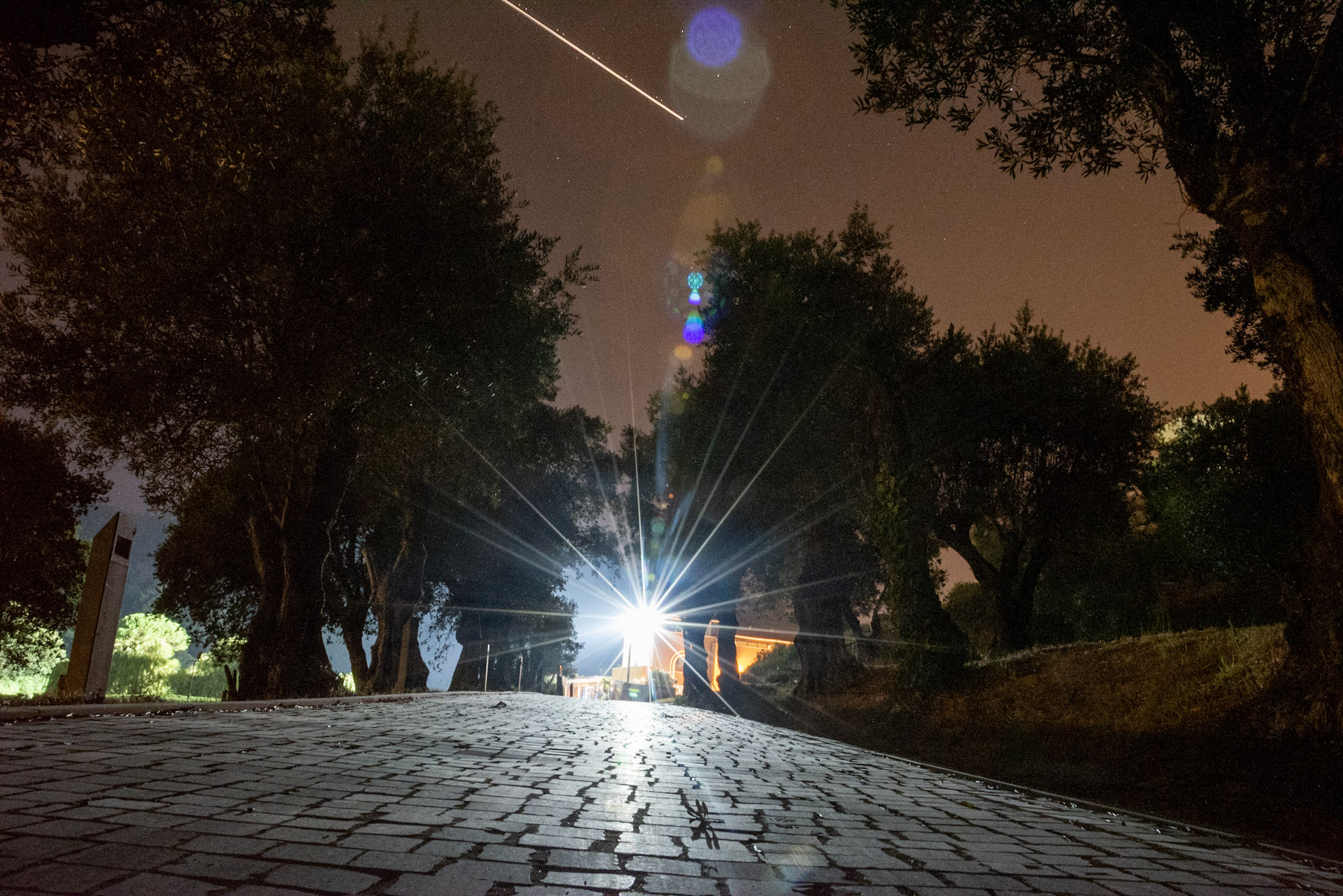 Selections — _djp2491